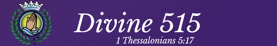 Divine 515 header
