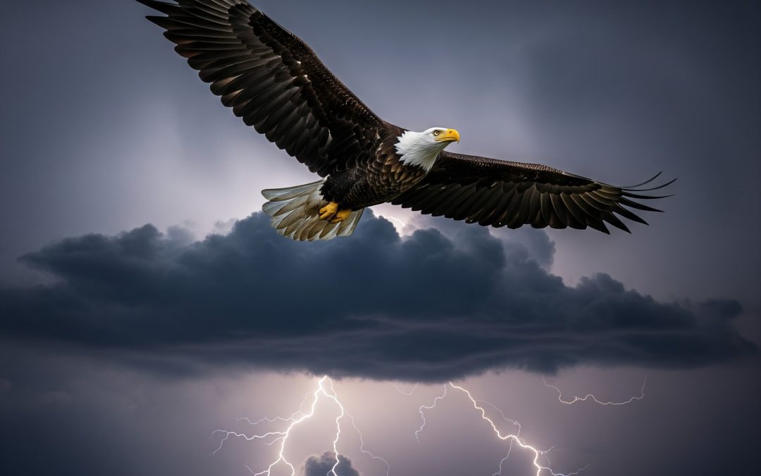 Rising Above Life’s Storms: Finding Renewal and Strength